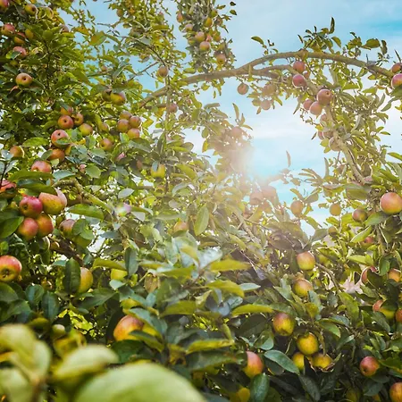 Landhaus Schieder Hotel