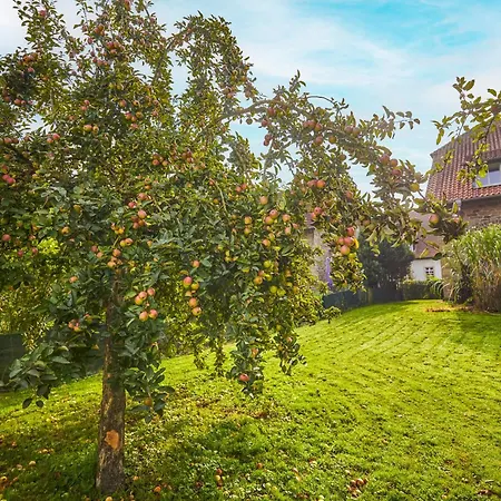 Hotel Landhaus Schieder 3*