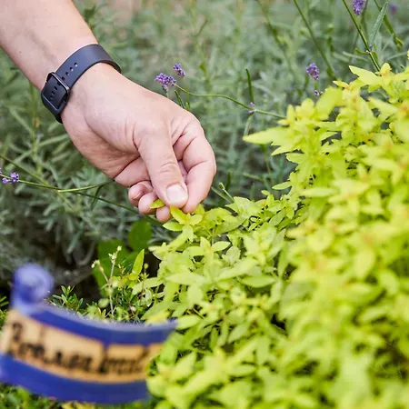 Landhaus Schieder Schieder-Schwalenberg