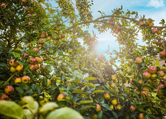 Landhaus Schieder Hotel