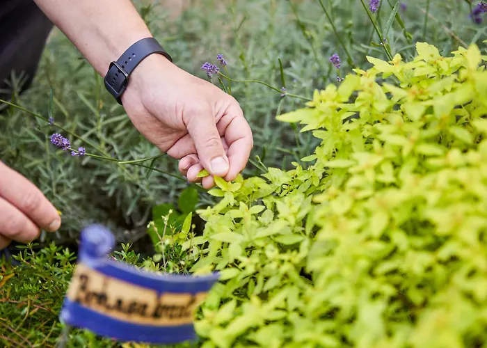 Landhaus Schieder Schieder-Schwalenberg